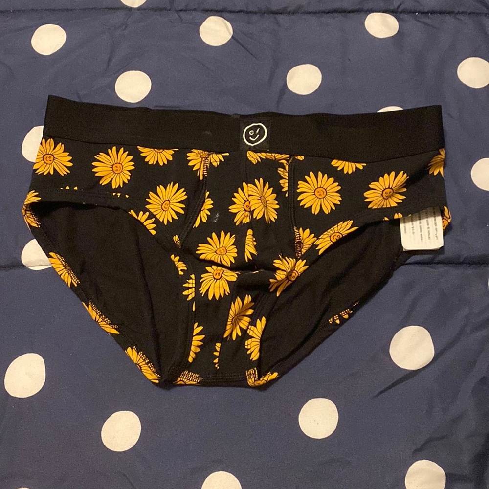 Mens Gilly Hicks Briefs